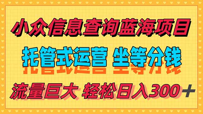 稳定日入300＋，小众信息查询蓝海项目，全程懒人式托管，解放你的时间-副业宝典