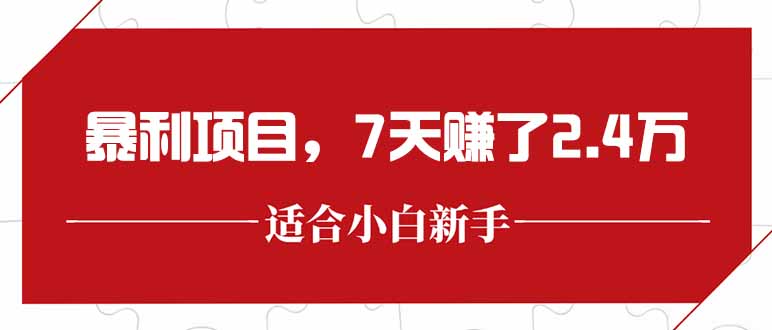 最新暴利项目，每单收益轻松在300以上，7天赚了2.4万-副业宝典