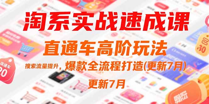 淘系实战速成课，直通车高阶玩法，搜索流量提升，爆款全流程打造(更新7月-副业宝典