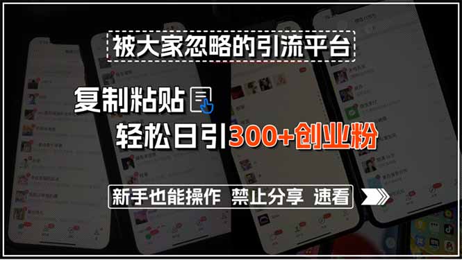 被大家忽略的引流平台，复制粘贴轻松日引300+创业粉，新手也能操作，禁…-副业宝典