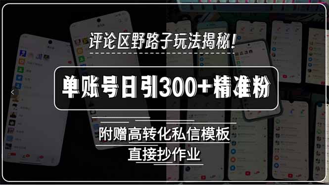 评论区野路子玩法揭秘！单账号日引300+精准粉，附赠高转化私信模板，直…-副业宝典