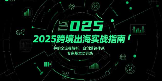 2025跨境出海实战指南，并购全流程解析，自创营销体系，专家基本功训练-副业宝典