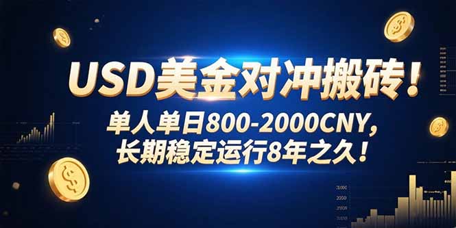 USD美金对冲搬砖!单人单日800-2000CNY，长期稳定运行8年之久!-副业宝典