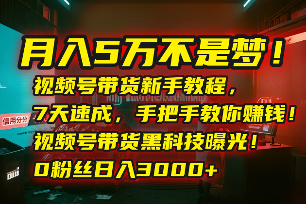 月入5万不是梦！视频号带货新手教程，7天速成，手把手教你赚钱！视频号…-副业宝典