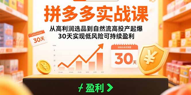 拼多多实战课：从高利润选品到自然流高投产起爆 30天实现低风险可持续盈利-副业宝典