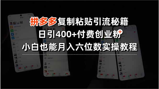 拼多多复制粘贴引流秘籍，日引400+付费创业粉，小白也能月入六位数实操…-副业宝典