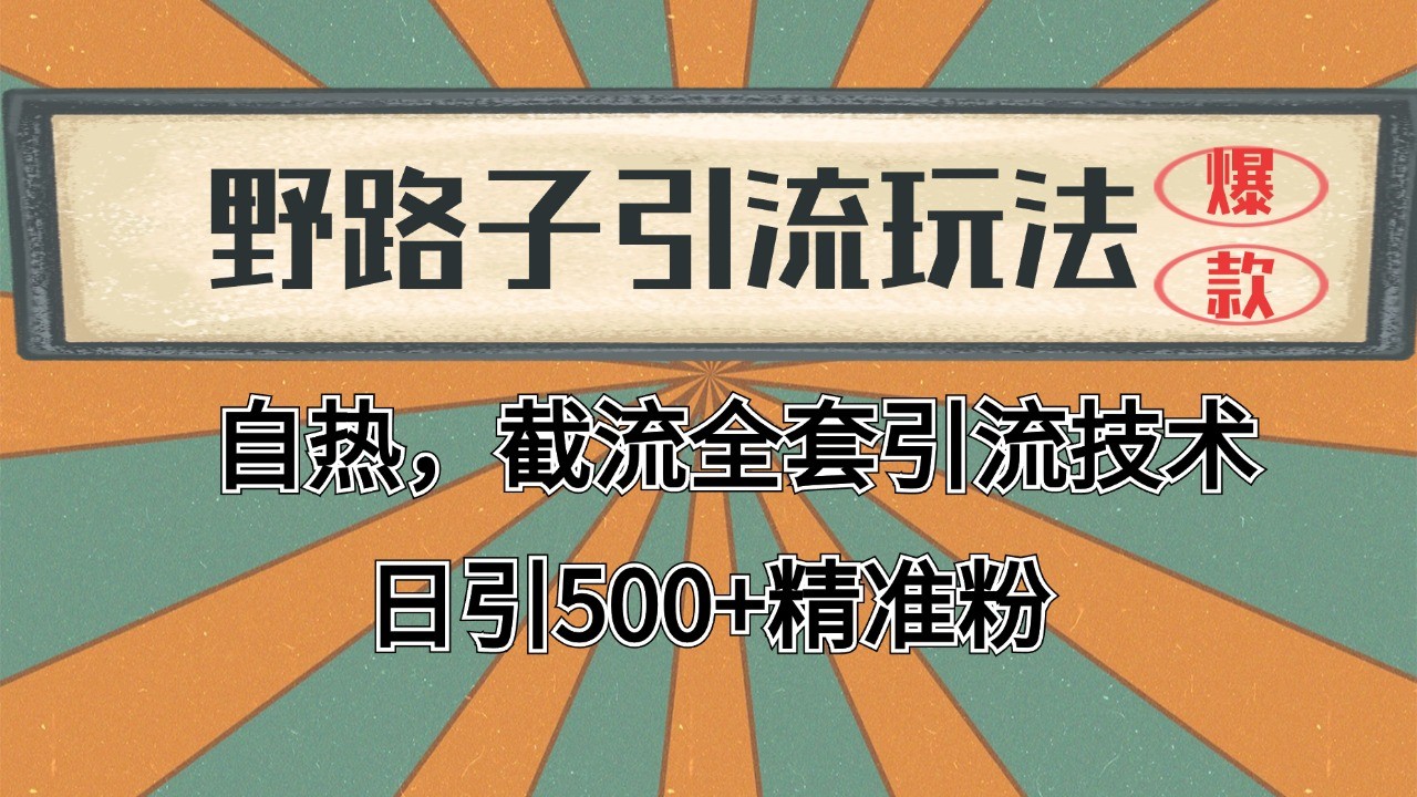 2024首发野路子引流玩法截流自热全平台打法，全自动引流【日引2000+精准客户】-副业宝典