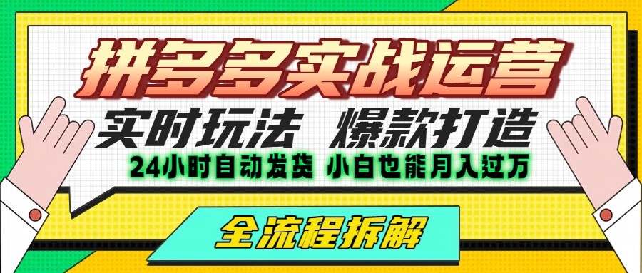 拼多多最新实战运营高投产：长久稳定项目，单店利润一天三位数-副业宝典