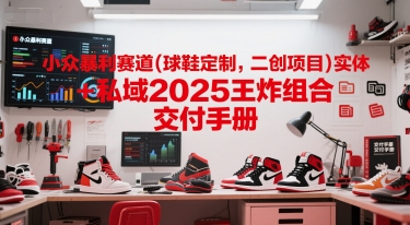小众暴利赛道(球鞋定制，二创项目)实体+私域2025王炸组合  交付手册-副业宝典