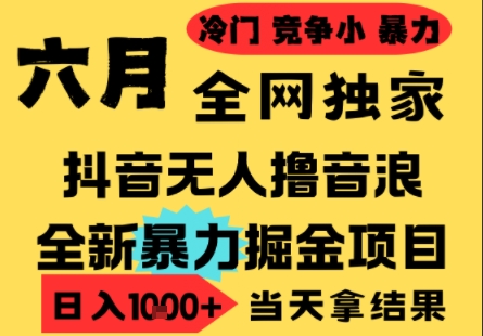 25年6月高爆抖音无人直播最新撸音浪掘金项目，小白可做，无脑日入1k+，门槛低可批量矩阵【揭秘】-副业宝典
