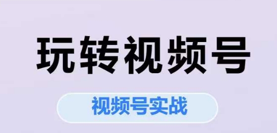 玩转视频号，视频号实战系列课-副业宝典