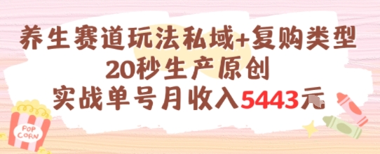 养生赛道玩法私域+复购类型，20秒生产原创实战单号月收入5k+-副业宝典