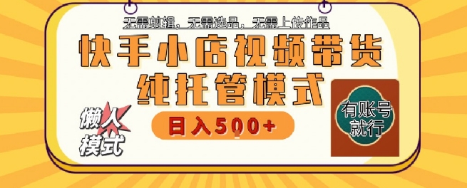 快手小店托管代运营，无需剪辑，无需选品，无需上传作品，全程无需操作，轻松月入5k+【揭秘】-副业宝典