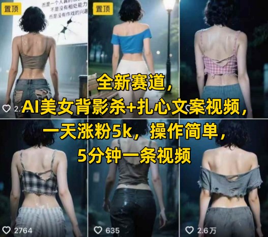 全新赛道，AI美女背影杀+扎心文案视频，一天涨粉5k，操作简单，5分钟一条视频-副业宝典