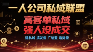 一人公司私域联盟，高客单私域，强人设成交，建私域 搞发售 广结盟 造势能-副业宝典