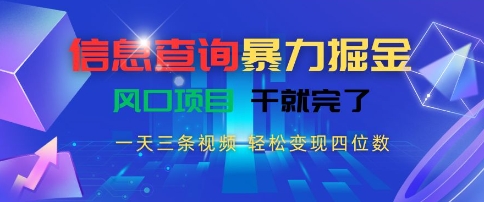 信息查询暴力掘金，一天三条视频，轻松变现四位数，风口项目干就完了【揭秘】-副业宝典