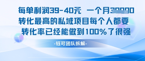 每单利润40一个月7k+转化最高的私域项目，每个人都要的产品转化率已经能做到100%-副业宝典