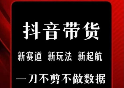 抖音短视频一刀不剪带货，不剪辑，不直播，每天发个视频，等着出单获取带货佣金-副业宝典