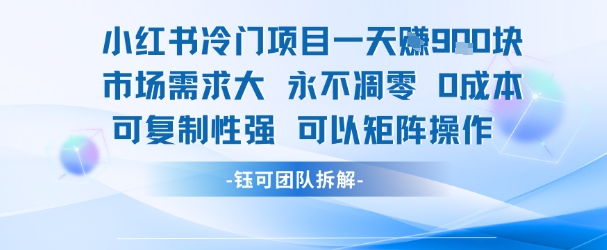 小红书冷门项目一天收益9张，市场需求大，0成本，可复制性强可以矩阵操作-副业宝典