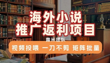 海外小说推广返利项目，视频投喂， 一刀不剪，矩阵批量-副业宝典