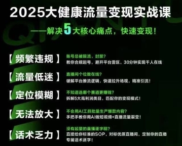 大健康流量全域新增长8.0，三月底线下课视频，大健康万亿蓝海，从类目突围到模式迭代-副业宝典