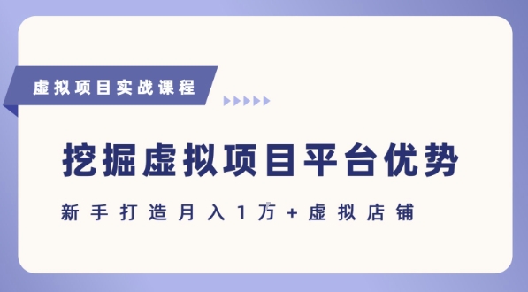 抓住虚拟项目各平台优势，新手轻松月入1W+(给出具体建议)-副业宝典