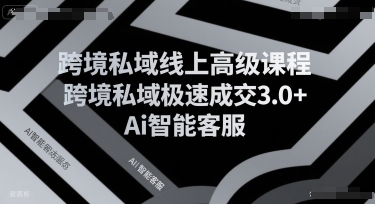 跨境私域线上高级课程，跨境私域极速成交3.0+Ai智能客服-副业宝典