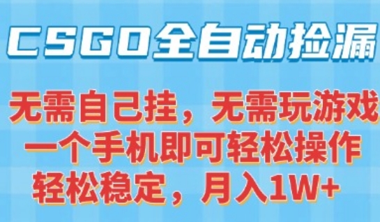 CSGO自动捡漏项目，最新独家玩法，一个手机可操作，新手小白轻松月入1W+，操作简单易上手【揭秘】-副业宝典