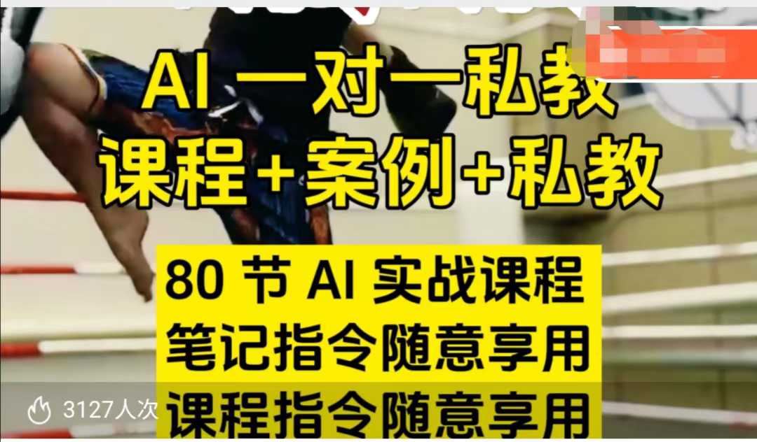 AI指令实战课，课程+案例，80节AI实战课程，笔记指令随意享用，课程指令随意享用(更新7月)-副业宝典