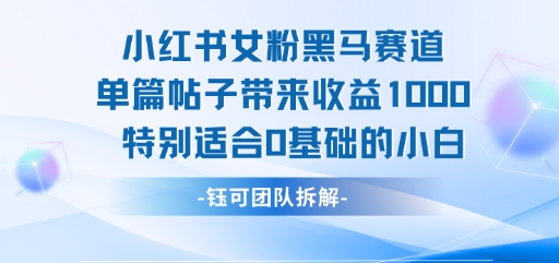 小红书女粉黑马赛道单篇帖子带来收益1k+，特别适合0基础的小白-副业宝典