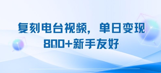 复刻电台视频，单日变现8张+新手友好，长期可做-副业宝典