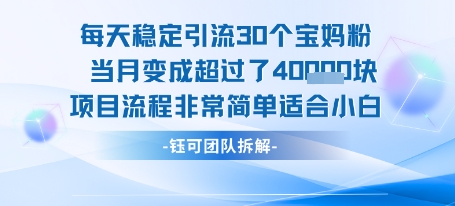 每天稳定引流30个人 当月变成超过了4个W项目流程非常简单适合小白-副业宝典