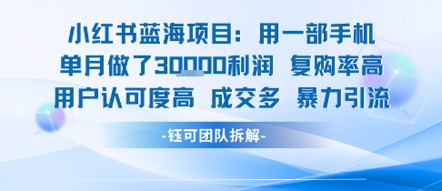小红书蓝海项目，一部手机单月做了3W利润，小白也能月入过1W用户认可度高成交多-副业宝典