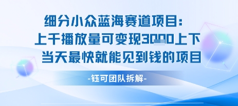 小众蓝海赛道项目：当天变现1k+适合新手操作 +适合长期玩-副业宝典