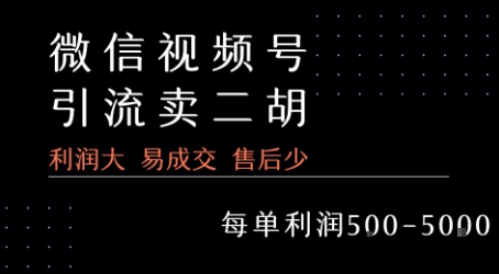视频号卖二胡教程，利润大 易成交 售后少，一单利润5张+-副业宝典