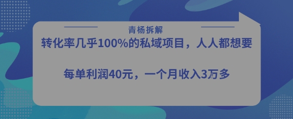 转化率最高的私域项目，每单利润40-50米，月入过1w-副业宝典