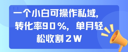 一个小白可操作私域，转化率90%，单月轻松收割2W-副业宝典
