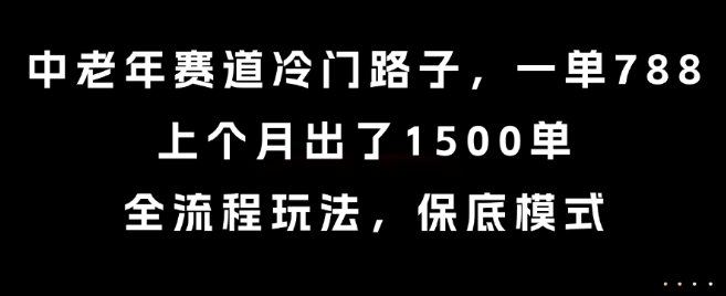 中老年赛道冷门路子，一单788，上个月出了1500单，全流程玩法，保底模式【揭秘】-副业宝典