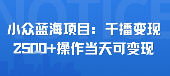 小众蓝海项目，千播变现2.5k+操作当天可变现-副业宝典