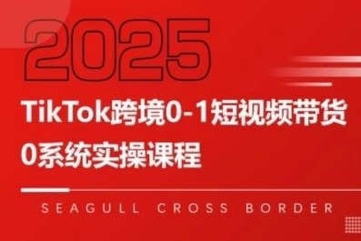 TikTok跨境0-1短视频带货，系统拆解TikTok跨境带货全链路，实现跨境可持续盈利-副业宝典