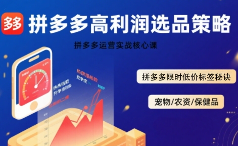 拼多多选品暴利技术实战课，拼多多高利润选品策略，拼多多限时低价标签秘诀-副业宝典