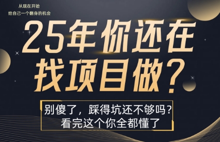 25年，你还在疯狂的找项目吗？别傻了，看完这个你都懂了【揭秘】-副业宝典