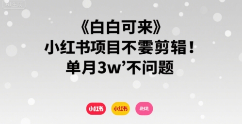 小白可来 小红书项目不需要剪辑 单月3w不是问题-副业宝典