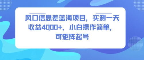 风口信息差蓝海项目，实测一天收益4k+，小白操作简单，可矩阵起号-副业宝典