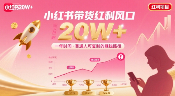 一年时间靠小红书带货项目年入20w+，最不能错的大红利项目-副业宝典