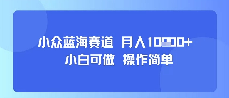 小众蓝海赛道，小白可做，操作简单，每天30分钟，月入1W+-副业宝典