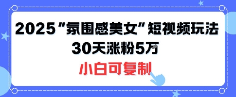 不露脸也能火！2025“氛围感美女”短视频玩法，30天涨粉5W小白可复制-副业宝典