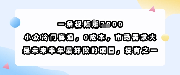 一条视频挣1k，小众冷门赛道，0成本，市场需求大，是未来半年最好做的项目，没有之一-副业宝典