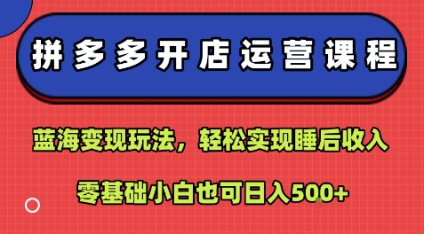 拼多多开店运营课程：蓝海变现玩法，轻松实现睡后收入，零基础小白也可日入5张-副业宝典