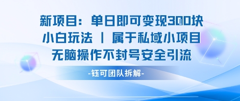 新项目单日即可变现3张的小白玩法无脑操作不封号安全引流-副业宝典